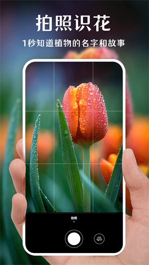 拍照识花app