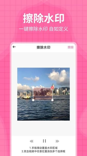 水印王app