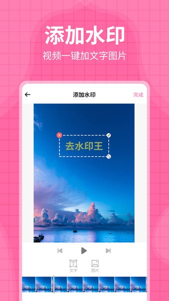 水印王app