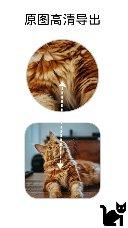 小猫边框app